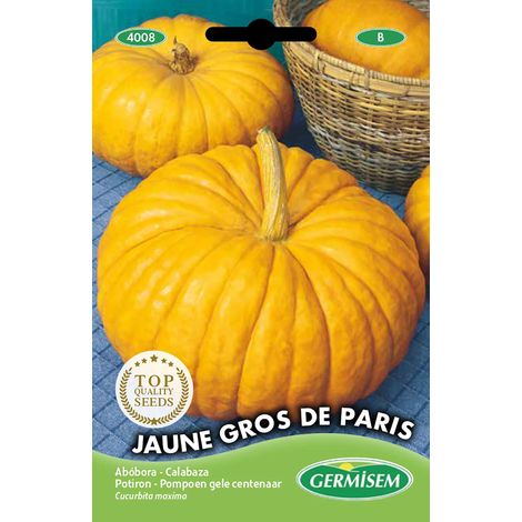 graines Potiron JAUNE GROS DE PARIS (1/2)