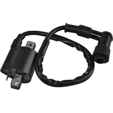 Bobine d’allumage noir Compatible avec Yamaha PW50 PY50 PEEWEE PY PW 50 Dirt Pit Bike Parts (1/4)