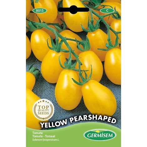 Graines Tomate YELLOW PEARSHAPED