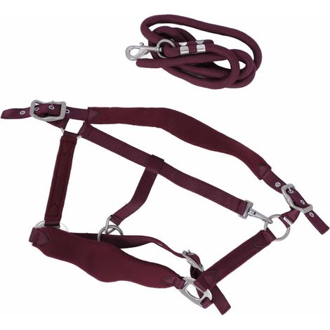 Ensemble licol pour cheval anti-frottement, licol d'entraînement réglable avec laisse de 2 m pour l'entraînement quotidien, rouge bordeaux, taille S (1/5)