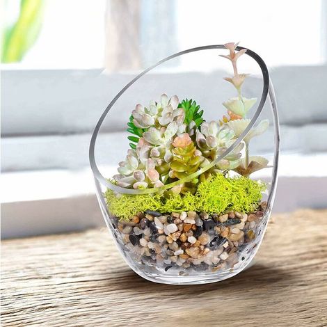 VURAHOME - Vase Bol à bulles incliné transparent - Pot à poissons et terrarium - Pot à bonbons - Vase à fleurs rond (17,5 cm de haut, 14 cm de largeur) (1/5)