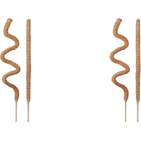 Support pour Monstera en forme de colonne de mousse, support flexible pour plantes d'intérieur, ensemble de 4 tiges de support pour plantes grimpantes (1/5)
