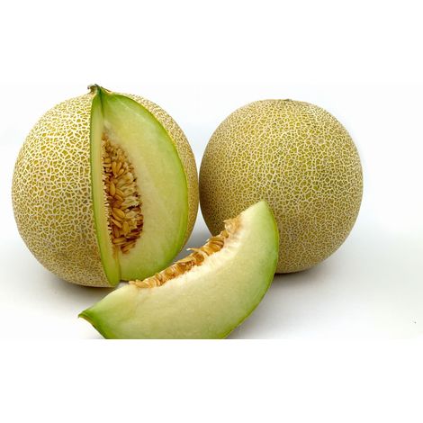 Cibo Premium per pappagalli  Melone essiccato naturalmente  Spuntino sano per tutti i pappagalli 100 g (1/4)