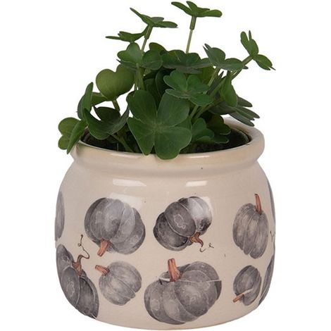Pot de Fleurs céramique Citrouille gris 12x10cm (1/3)