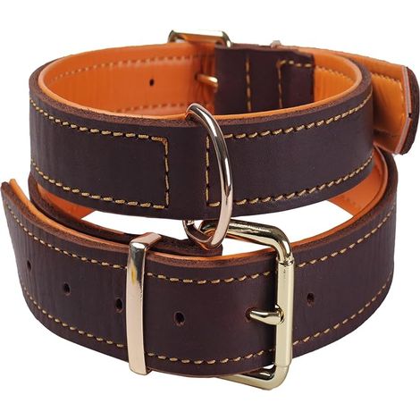 Collier Chien Cuir Rembourré Réglable Robuste M (1/5)