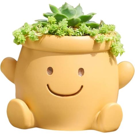 Pot de fleurs mignon à tête souriante, petit pot en résine avec tête humaine, pour plantes d'intérieur, pot de fleurs amusant à tête souriante, pot pour plantes grasses (1/4)