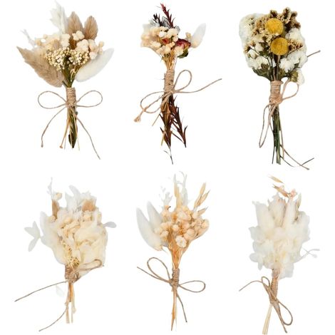 6 Pcs Fleurs Séchées, Séchées Mini Bouquet Fleurs Séchées Naturelles Fleur, Fleur Séchée Bouquet de Fleurs, pour DIY Photo Photographie Prop Vase Mariage Party Home Décoration (1/5)