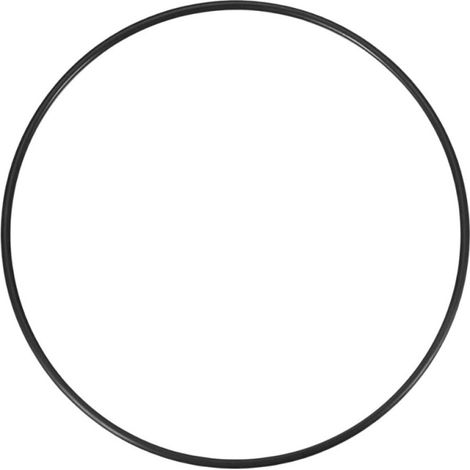 Junta tórica para tapa de filtro de arena de piscina XEO, diámetro 170 mm