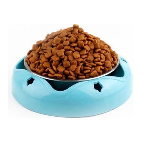 BUNTHAUS Bol pour animaux de compagnie en acier inoxydable antidérapant Bol pour chat durable (1/5)