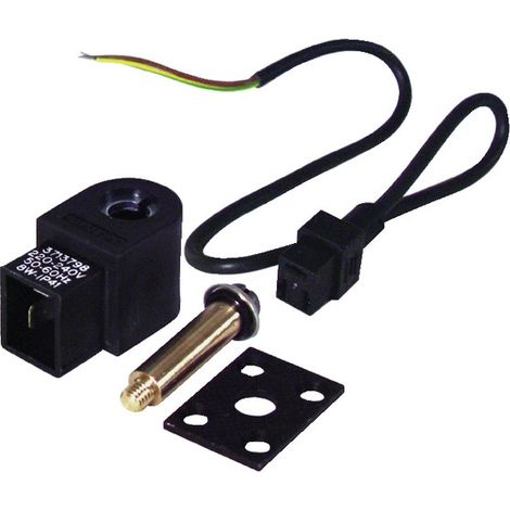 Magnetventil für Pumpe AS 220V
