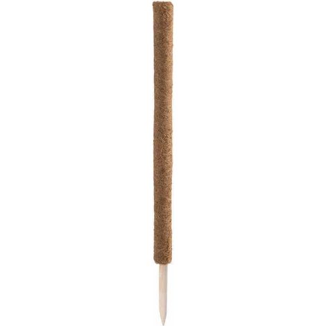 Kokos-Rankstab 80 cm Verlängerung, mit Latex (1/5)