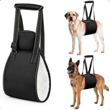 Harnais pour Chien avec poignée, Harnais de Levage pour Chien Ajustable pour la rééducation, Marche Souple de Soutien des Pattes arrière pour Les Chiens âgés, blessés ou handicapés,L (1/5)