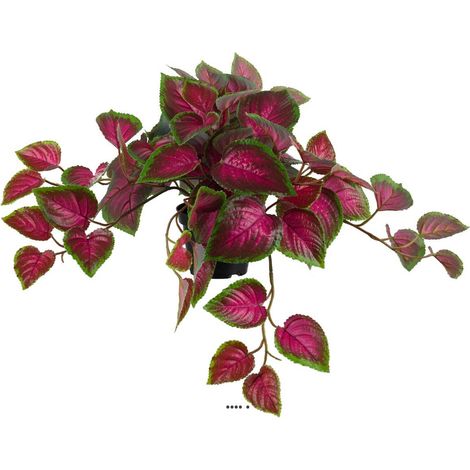 Coleus factice en pot de type rampant coloré H25cm D50cm Vert-rouge - dimhaut: H 25 cm - couleur: Vert-rouge