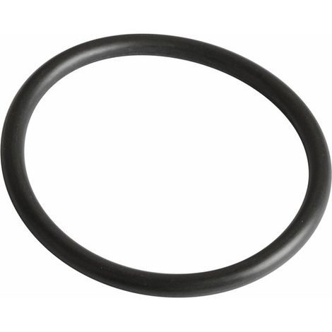 Joint R36 viton (capteur V97) - FRISQUET : 240134