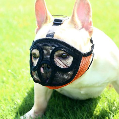 Muselière courte ajustable en maille respirante pour chiens de petite, moyenne et grande taille (1/4)