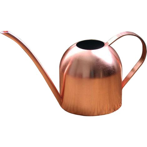Arrosoir En Acier Inoxydable - Bec Long 9 5 Cm - Pour Plantes D Intérieur Et D Extérieur - Bonsaï Succulentes Orchidées - 500 Ml Ou 1000 Ml (1/5)