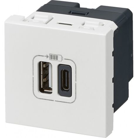 Toma doble con USB C y A, LEGRAND Mosaic, blanco LEGRAND