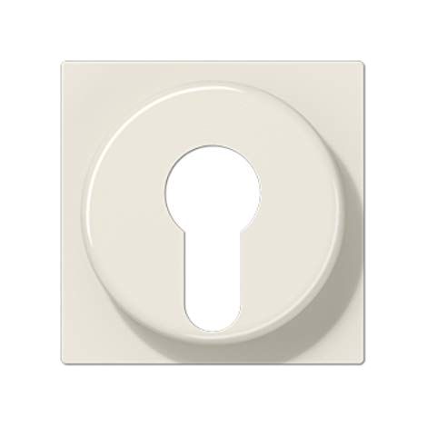 Jung Copertura per interruttore a chiave con protezione antimanomissione singolo, termoplastico, serie AS, bianco A 528 PL