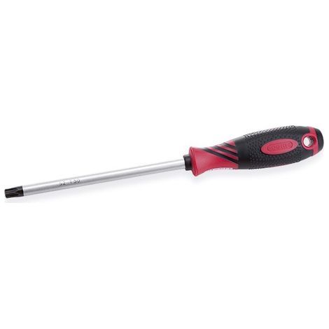Destornillador anti deslizante S2, Torx T20x100 mm  DOGHER 354-T20 (1/2)