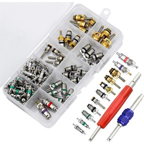 102 Pièces Noyaux de Valve de Climatisation R134A avec Outil de Dépose pour Voiture (1/4)