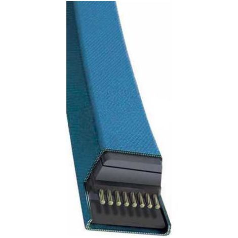 Courroie tondeuse Continental 5L800 kevlar trapézoïdale  15,8 x 2032 mm (1/5)
