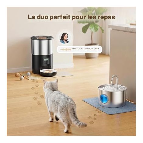 Fontaine a Eau Chat et Distributeur Croquettes: INOX Fontaine à Eau pour Chat et Distributeur Croquettes Chat - Mangeoire de Nourriture Animaux avec Minuterie Programmable Repas (1/4)
