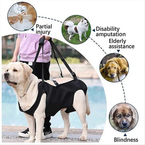 Harnais de soutien pour chien XL, gilet de rééducation réglable, aide à la mobilité pour chiot convalescent (1/5)