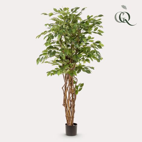 Ficus Liana Artificiel Plante Verte avec Tronc en Bois Décoration Intérieure 170 cm - PANGIVO (1/5)