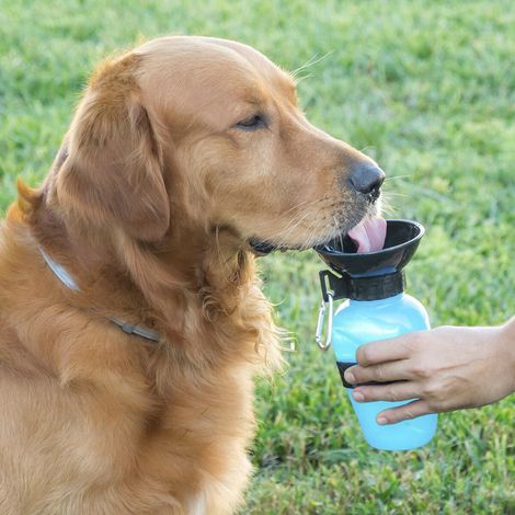BOTELLA BEBEDERO MASCOTAS INNOVAGOODS - (1/5)