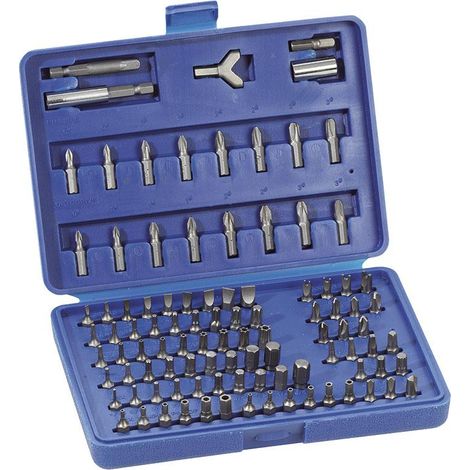 Serie mit 100 1/4 Bits fur Schraubendreher Fervi 0640