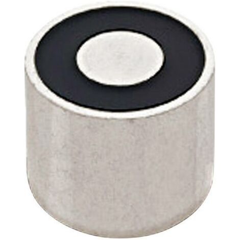 RED MAGNETICS Electroaimant aimanté (état hors tension) 25 N 12 V/DC 2 W ITS-PE-1515-12VDC (1/2)