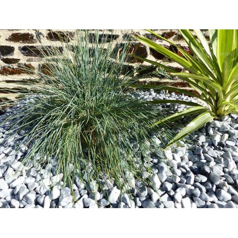 Galet Gris Clair 12-24 Pack de 25 M² - 50 sacs - 1000 kg