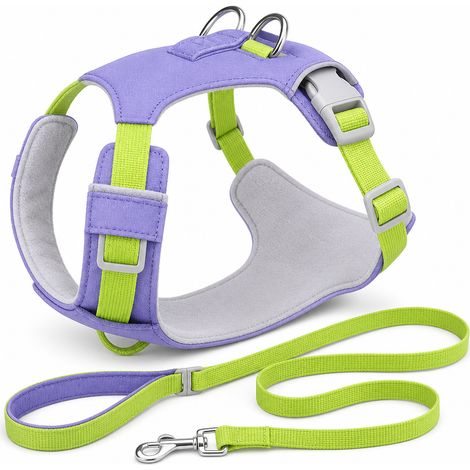 Équipement de promenade pour chien violet ensemble XS