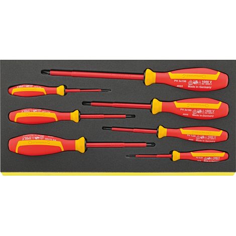 STAHLWILLE 96838785 Bandeja TCS con juego de destornilladores TCS 4665/4670