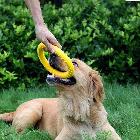 Jouets à mâcher pour chiens - Anneau de dressage et de mastication intense pour jouer à l'extérieur et à l'intérieur - Disque flottant et jouet à tirer interactif pour chiens de toutes tailles (1/5)