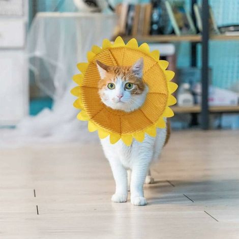 Anti-Beiß-Kegelhalsband für Hunde und Katzen, verstellbarer Schutz, bequemes Genesungs-Kegelhalsband für Hunde und Katzen mit entzückendem gelbem Sonnenblumenmuster (M)
