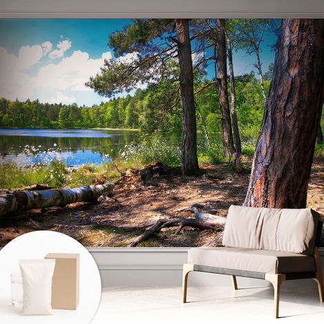 Carta Da Parati Con Design Moderno - Per Rinnovamento Rapido - Non-Woven - Per Interni Moderni Paesaggio forestale 312x219 cm (1/5)