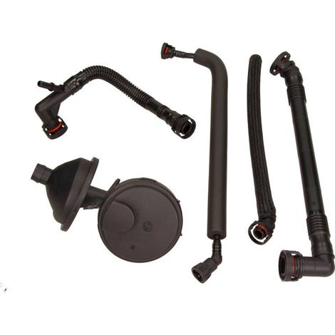 Valve pneumothorax BMW Maxgear (kit) (1/2)