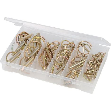 Fixman 249505 Confezione 50 Pezzi Coppiglie con Spinotto a Scatto, Giallo