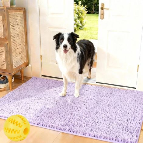 Tapis Petitepapatte, Petitepapatte Tapis Absorbant Anti Saleté Chien, Tissu Doux, Tapis de Sol Antidérapant Lavable en Machine pour Chien, Entrée, Porte et Couloir (A,50 x 80 cm) (1/5)