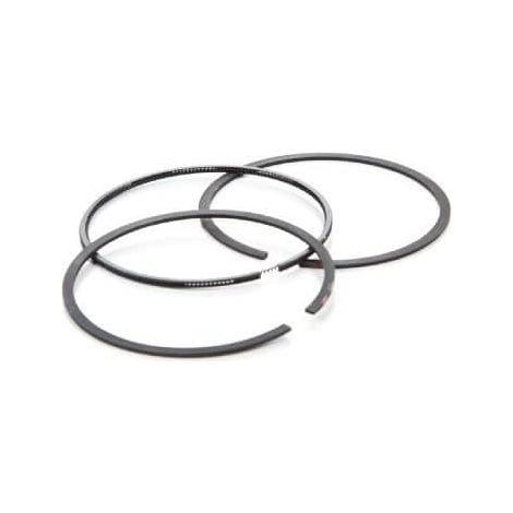 Segment BRIGGS et STRATTON 696403