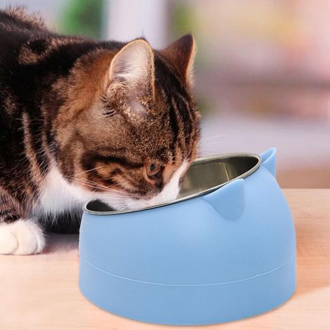 Gamelle en acier inoxydable pour chat avec base antidérapante, facile à nettoyer, gamelle pour animaux de compagnie de qualité alimentaire pour chats et petits animaux de compagnie (1/5)
