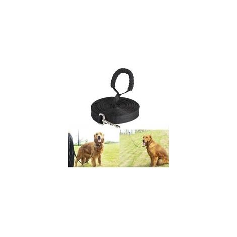 Longe Pour Chien Entrainement 5m 10m 15m 20m 30m Avec Poignée Confortable Laisse De Dressage Robuste Pour Grand Et Petit Chien (1/4)