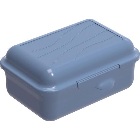 Rotho Brotdose Funbox 0,4 l, 12,5 x 9 x 5,8 cm, horizon blue Boxen, Körbchen & Kisten (1/2)