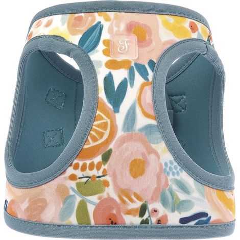 Pettorina BLOSSOM TAGLIA XXXS: Pettorina per cani linea Motif modello Blossom (1/2)