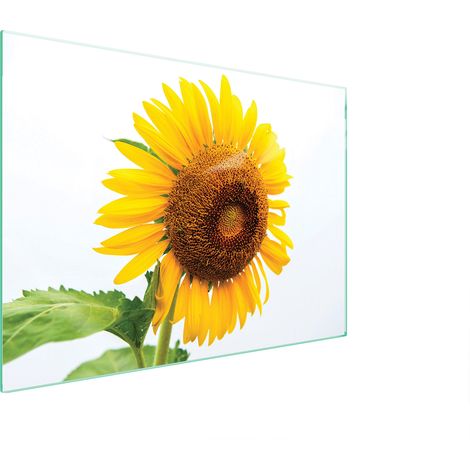 PLACA PROTECTORA DE VIDRIO PARA ESTUFA 70x52 FLOR (1/5)