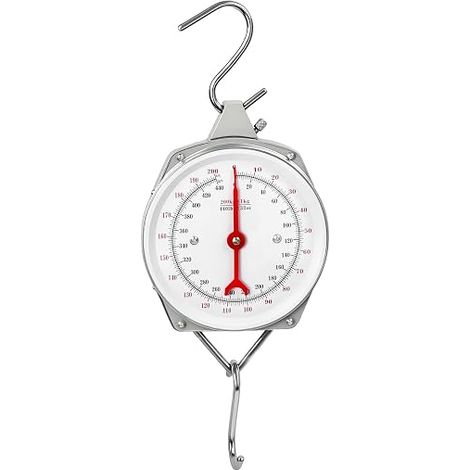 Hanging Scale, Suitcase Scale with Hook, Grey, 200 kg (1/5)