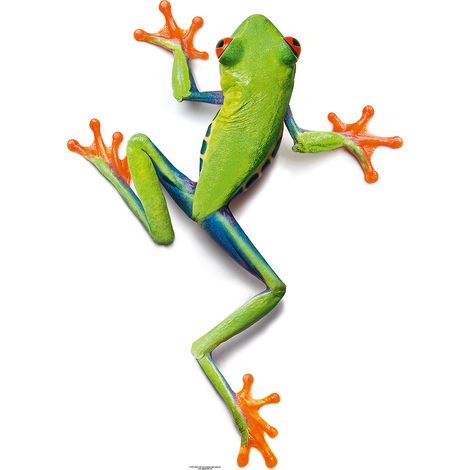 Papier peint panoramique grenouille vert et blanc | Tapisserie panoramique originale pour chambre enfant | Papier peint panoramique 3D animaux - 267 x 400 cm (4 pièces) (1/2)