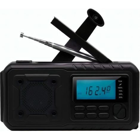 BTEC-RDS670-B altavoz portátil o de fiesta Altavoz monofónico portátil Negro