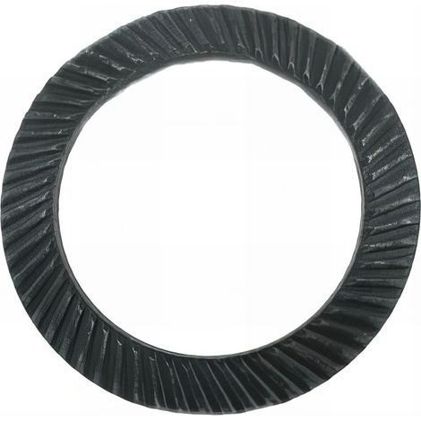 100 Rondelles élastiques Type Schnorr mm - Diamètre 16 mm mm